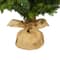 5ft. Pre-Lit Fraser Fir Artificial Christmas Tree, Clear LED Lights